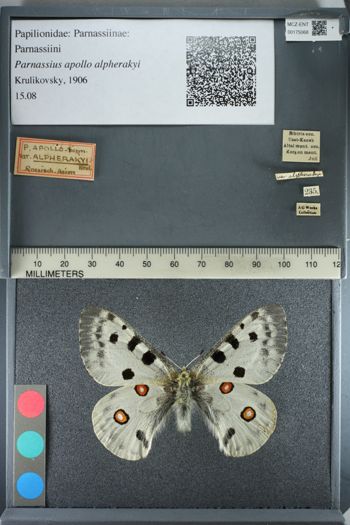 Media type: image;   Entomology 175068